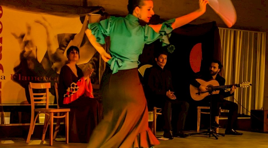 Flamenco: Sancti Petri