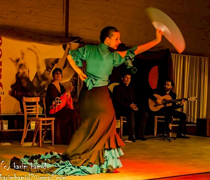Flamenco: Sancti Petri