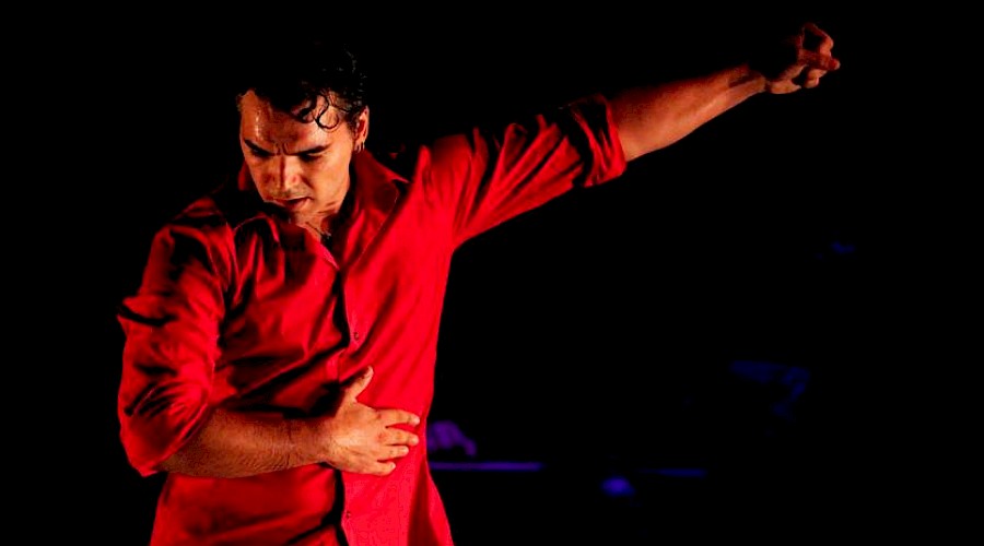 Flamenco en Bruselas