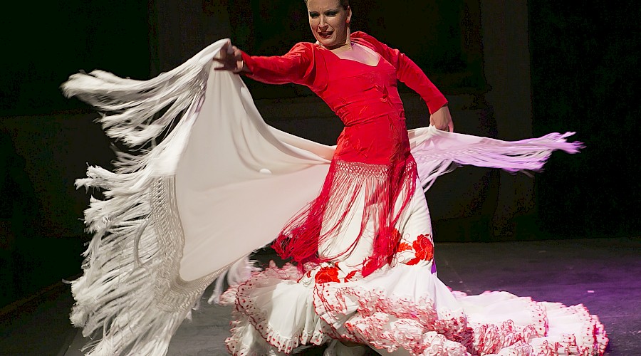 Luisa Palicio