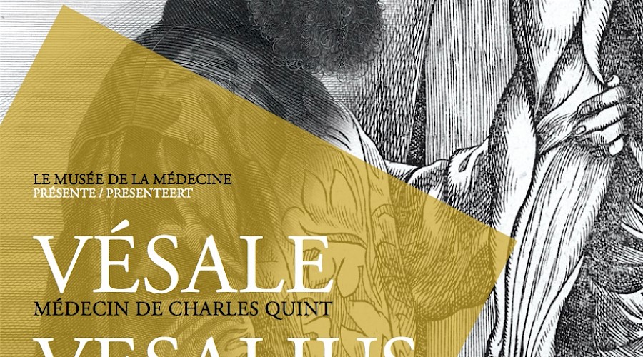 Vesalio, médico de Carlos V