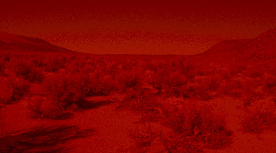 Laida Lertxundi en Courtisane Festival 2017