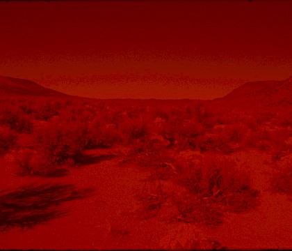 Laida Lertxundi op Courtisane Festival 2017