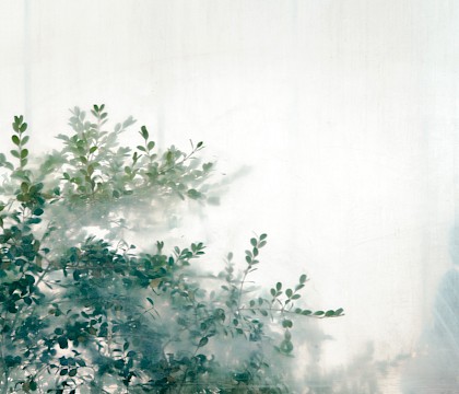Pedro Correa en Artelli Gallery