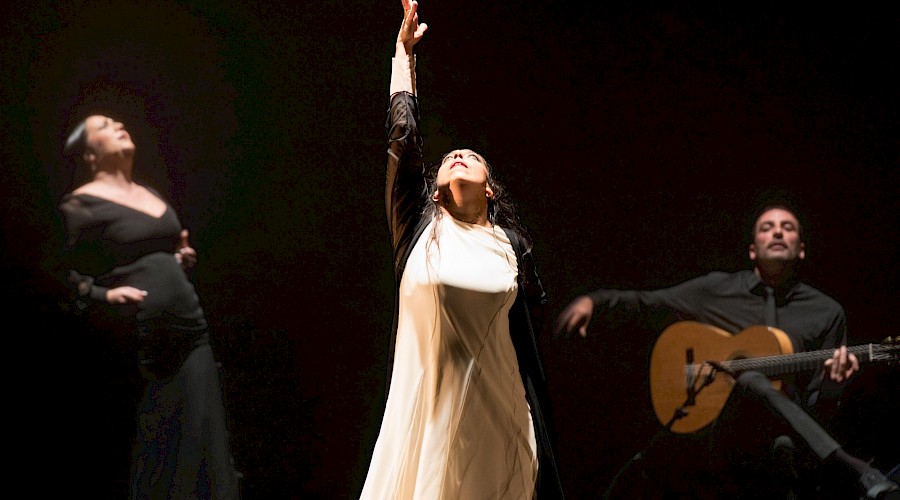 Bruselas Flamenco Festival 2018