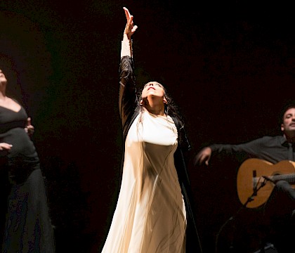 Bruselas Flamenco Festival 2018