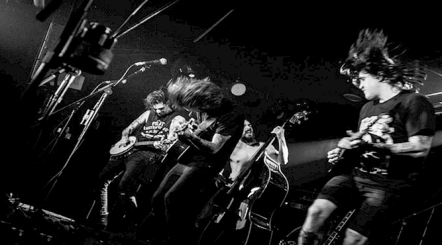 Roots & Roses Festival