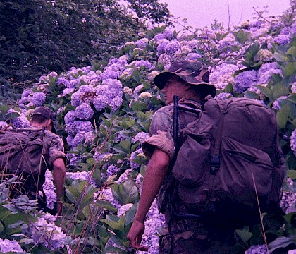 Cinematek: Festival Punto de Vista