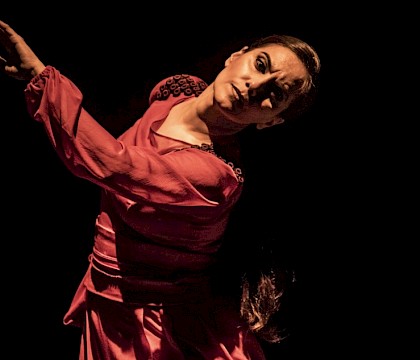 Bruselas Flamenco Festival 2019