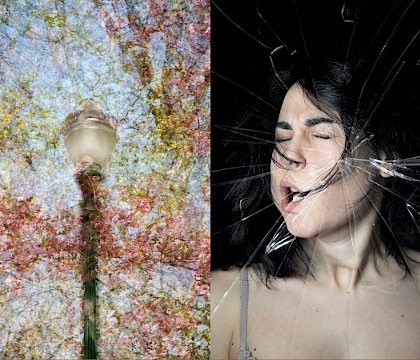 Impresiones y contrastes