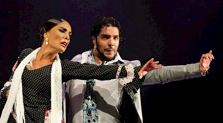Peña Al Andalus: Flamenco in hartje Vlaanderen