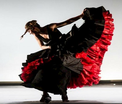 Bruselas Flamenco Festival 2020