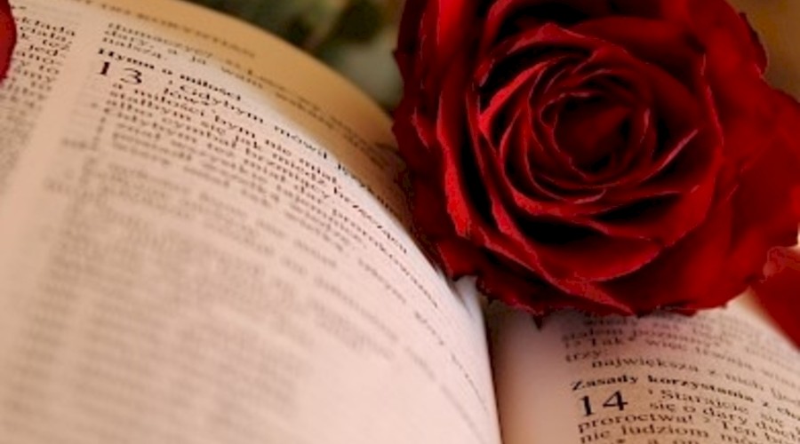 Día del Libro 2020 – Sant Jordi: El libro y la rosa