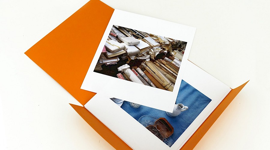 Oriol Vilanova: Reproductions III
