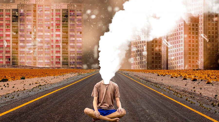 Somos naturaleza. Un muro contra el cambio climático: Efecto Mariposa. Una experiencia en artivismo y diplomacia cultural por el clima