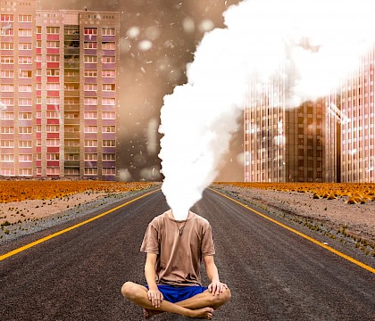 Wij zijn natuur. Een muur tegen de klimaatverandering: Vlindereffect. Een ervaring in artivisme en culturele diplomatie voor het klimaat