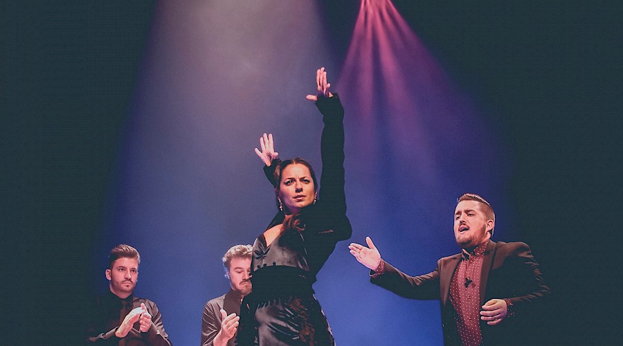 Bruselas Flamenco Festival 2021