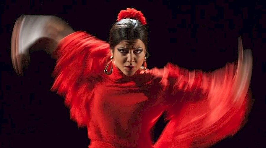 Journée internationale du flamenco