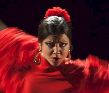 Internationale Dag van de Flamenco