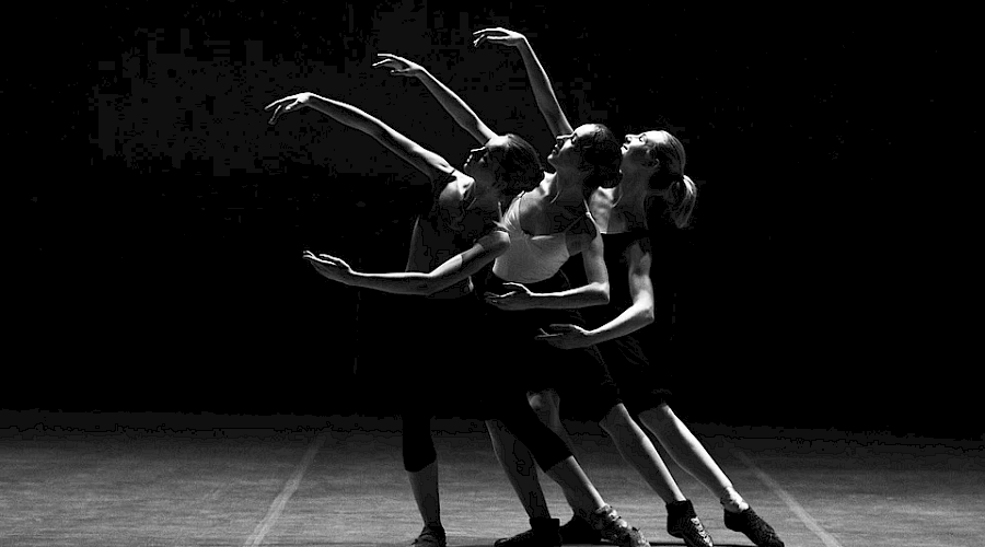 Paula Comitre: Percepción