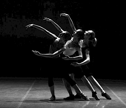 Paula Comitre: Percepción