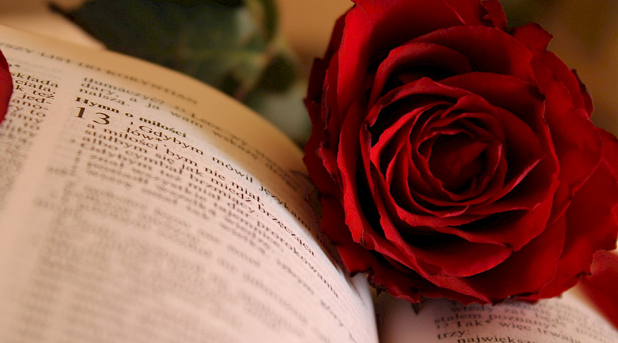 Journée du Livre 2023 – Saint Jordi : Le livre et la rose