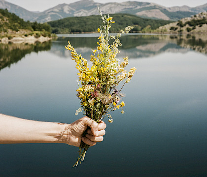 Habitar lo invisible. Memoria, agua y raíces