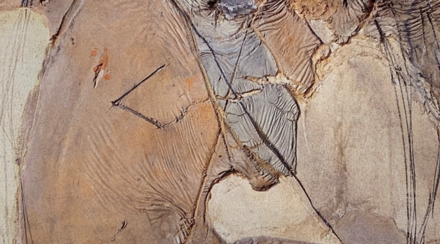 Antoni Tàpies: La práctica del arte