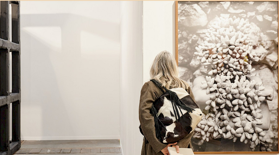 Art Brussels 2025