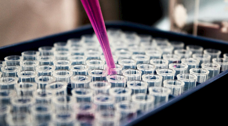 Labs without Borders