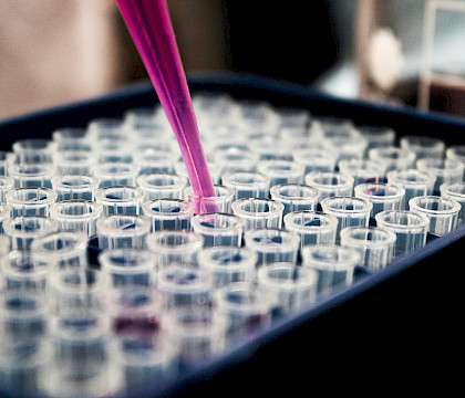 Labs without Borders