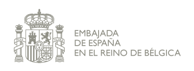 Embajada de España en Bélgica – Sección Cultural